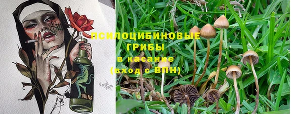 мескалин Надым