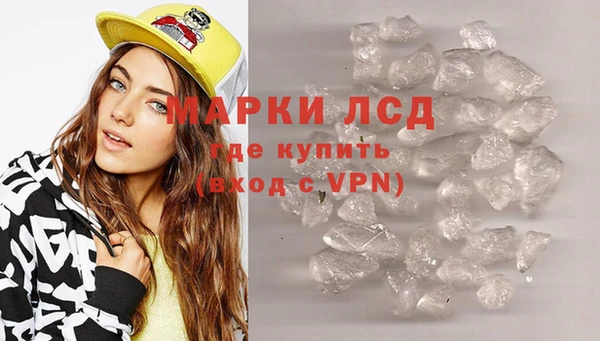 трава Наволоки